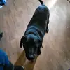 spookytime - @marksmurad - TikTok