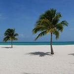 Mark Murdock - @mark.murdock.965 - Instagram