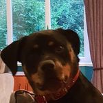 Mark Myatt - @mark.my76 - Instagram