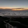 Mark  Myatt - @mark.myatt - TikTok