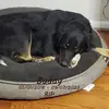 Mark Mynhier - @mark.mynhier - TikTok