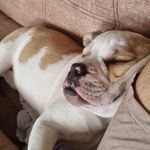 Mark Najarro Borda - @mark_najarro - Instagram