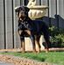 Mark Nason - Facebook