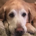 Mark Naughton - @marknaughton - Instagram