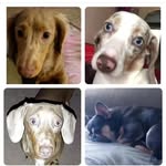 Mark naughton - @naughton7794 - Instagram