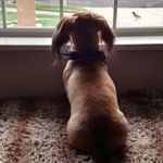Mark Naumann - @blubacon50 - Instagram