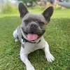 Markus Naumann663 - @markusnaumann1974 - TikTok