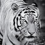 MARKUS NAUMANN - @markusnaumannphoto - Instagram