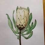 Mark Neale - @markn.art - Instagram