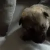 marnebekker - @marnebekker7 - TikTok