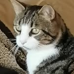Mark Needham - @mark.needham.3950 - Instagram