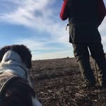 Mark Needham - @needsy999 - Instagram