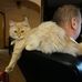 Mark Nelligan - Facebook
