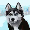 Mark Nelson - @mark.nelson52 - TikTok