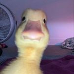 Márk Németh - @_mark_nemeth_ - Instagram