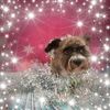 Mark Nemeth - @marknemeth68 - TikTok