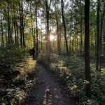 Mark Neri - @mark.neri.969 - Instagram