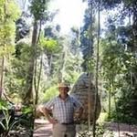 Mark Nesbitt - @marknesbittkew - Instagram
