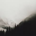 Mark Netter - @mark.netter - Instagram