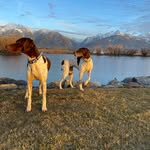 Mark Newell - @mark.newell - Instagram