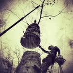 Mark Newell - @mark_newell_tree_care_ltd - Instagram