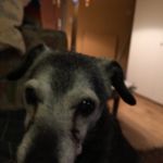 Mark Nicholson - @mark.nicholson1949 - Instagram