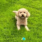 Mark Nickson - @nickson72 - Instagram