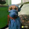 John Mark Nimo981 - @johnmarknimo981 - TikTok