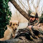 Mark Noland - @marknoland11 - Instagram
