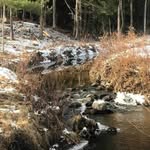Mark Nolin - @m.nolin - Instagram