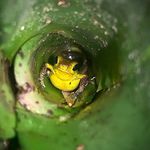 Mark Noon - @skinsnscales1 - Instagram
