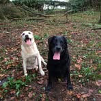 Mark Noon - Facebook