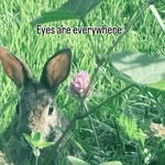 Mark Noon - @justdoinglifenow - Instagram