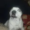 Mark Noonan - @mark.noonan - TikTok