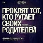 Мурат///Питер - @marknovyi - Instagram