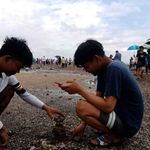 Mark Null - @mark.null.9828 - Instagram