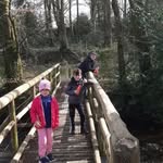 Mark Nulty - @marknulty81 - Instagram