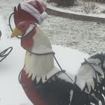 Mark Nussbaum - @mark.nussbaum.12 - Instagram