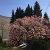 Markus Kerpen - @marknuss2 - TikTok