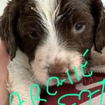 Mark Nuttall - @nuttall4484 - Instagram