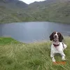 Mark Nuttall - @marknuttall - TikTok