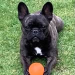 Mark Nuttall - @mrmanuttall - Instagram