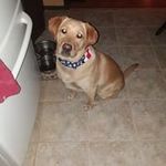Mark Nutter - @mark.nutter.5055 - Instagram