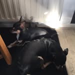 Martin Nymeyer - @martinnymeyer - Instagram