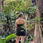 Mark Nystrom - @mark_nystrom - Instagram