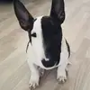 Marko..,..... Oaxaca, - @user9228524444699 - TikTok
