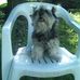 Mark Oberdorf - Facebook