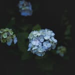 Marie Oberempt - @moberempt_photography - Instagram