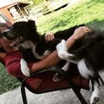 Mark Oberst - @oberst_ma - Instagram