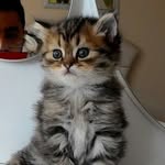 Marko Bey - @markobeyzade - Instagram